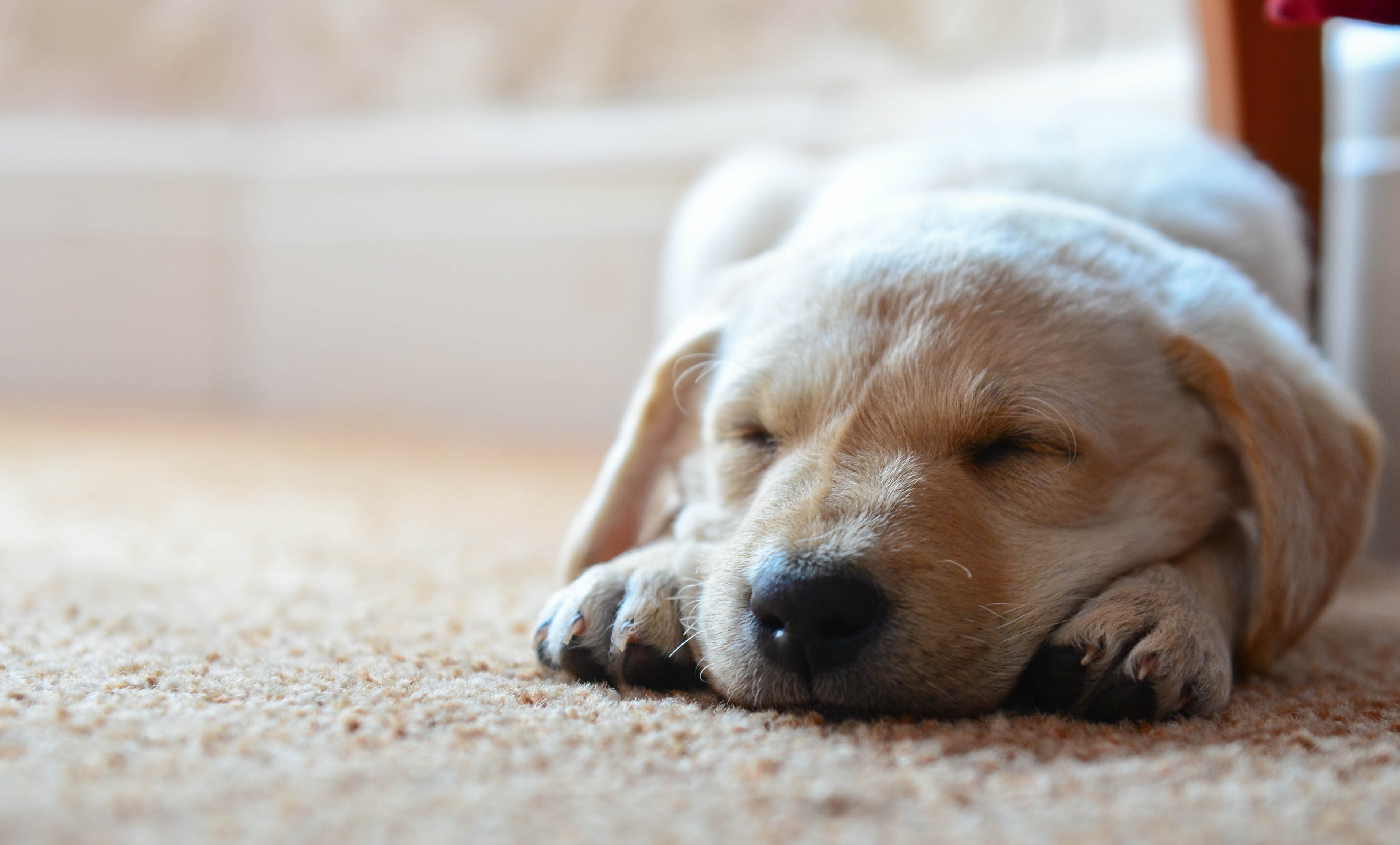 slider image slider_item_rMBKCT